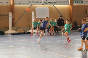 IMG 4281