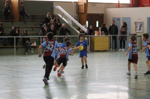 IMG 9223