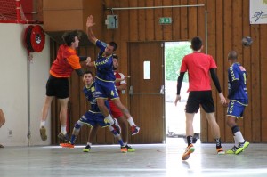 IMG 4342  