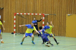 IMG 5331