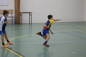 IMG 6401