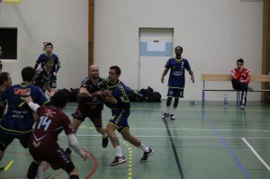 IMG 6631