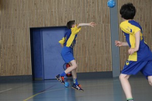 IMG 8555
