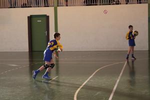 IMG 5044